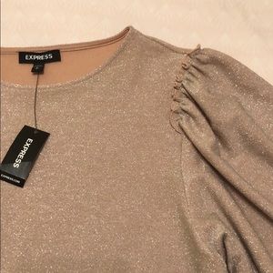 EXPRESS • NWT Shimmery Party Top